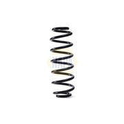 NAPA Rear Suspension Coil Spring NCS1743