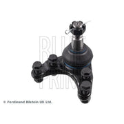 Blue Print Ball Joint Front Right ADM58686