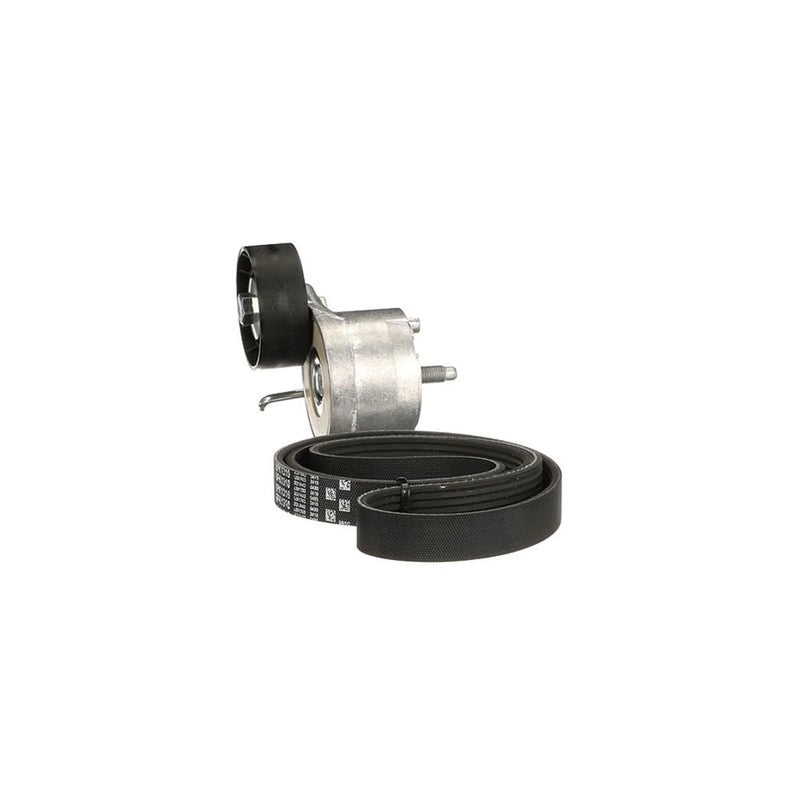Gates V-Ribbed Belt Set K016PK1310