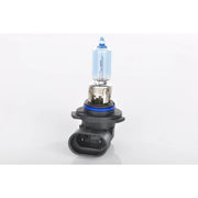 Bosch Car Light Bulb HB3 P20d 12V 60W 1 987 302 154