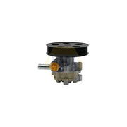 NAPA Power Steering Hydraulic Pump NPS1079