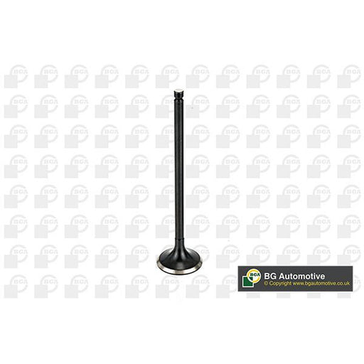 BGA Engine Exhaust Valve 25mm Head V165411