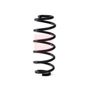 Apec Rear Suspension Coil Spring ACS2322
