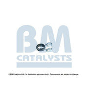 BM Catalysts Fitting Kit FK90387A FK90387A