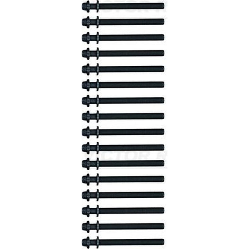 Victor Reinz Cylinder Head Bolt Set M14 14-10863-02