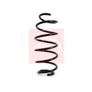 Apec Front & Rear Suspension Springs ACS1479