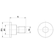 Textar 2 x Rear Brake Disc Bolt TPM0001
