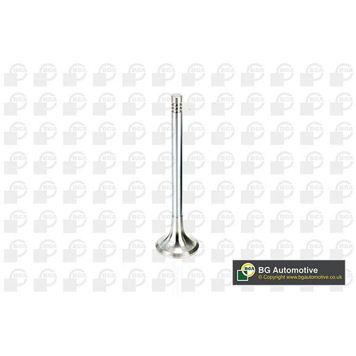 BGA Engine Exhaust Valve 25mm Head V165961