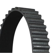 Continental CTAM Timing Belt Cambelt 176 Teeth CT1073