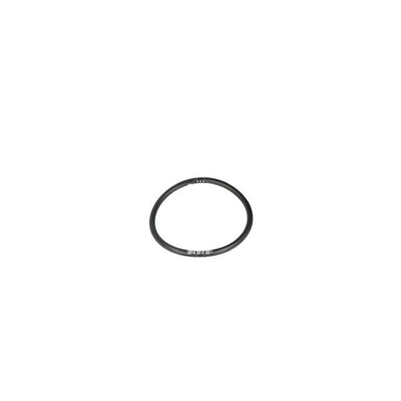 NRF Thermostat,Coolant 725189