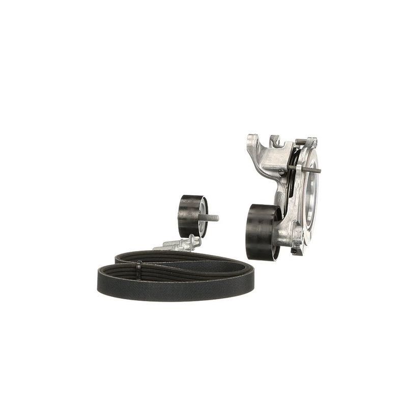 Gates V-Ribbed Belt Set K015PK1256EST