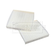 Borg & Beck Cabin Air Filter (Pollen Filter) BFC1255