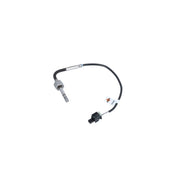 NRF Exhaust Gas Temperature Sensor before soot partic 707095