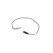 NRF Exhaust Gas Temperature Sensor before soot particulate filter 707101