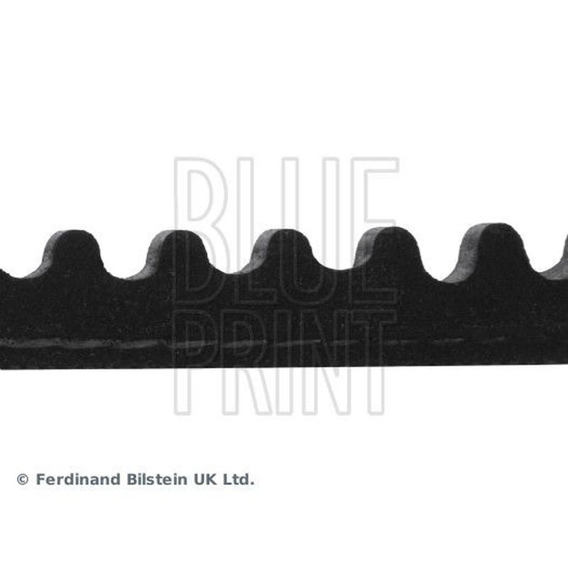 Blue Print V-Belt Auxiliary Drive Belt AD10V785