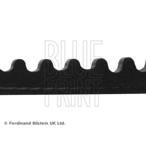 Blue Print V-Belt Auxiliary Drive Belt AD10V990