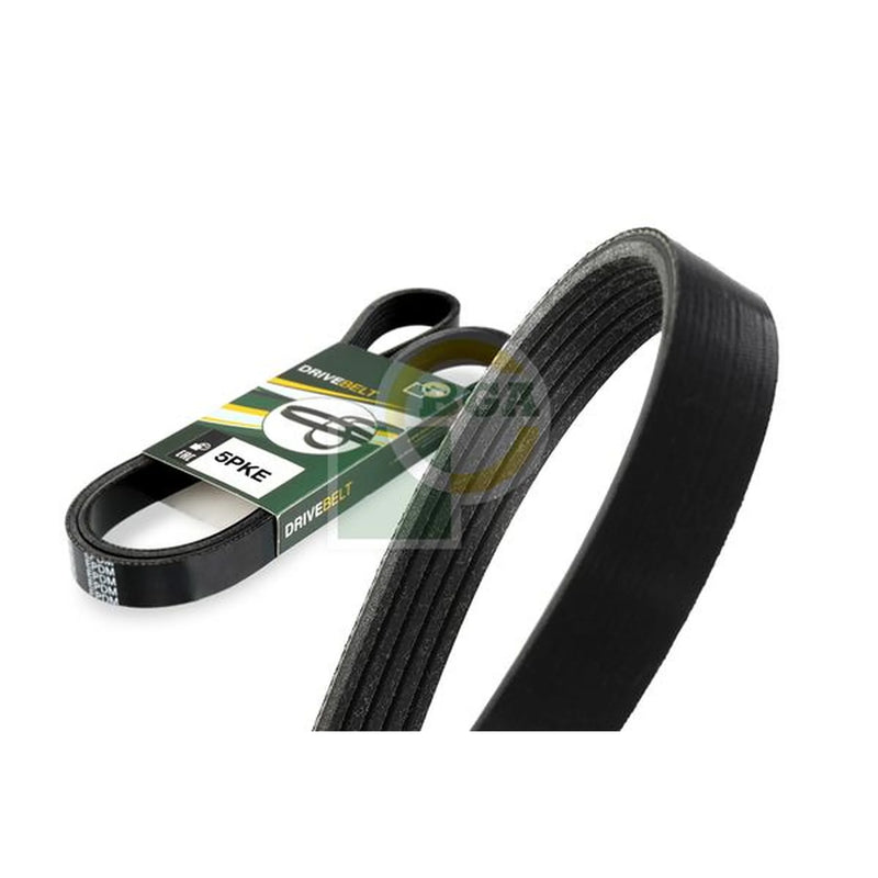 BGA Multi V-Ribbed Drive Belt 5PK711E