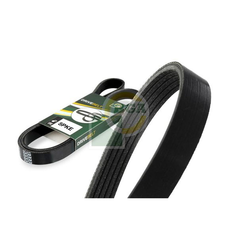 BGA Multi V-Ribbed Drive Belt 5PK761E
