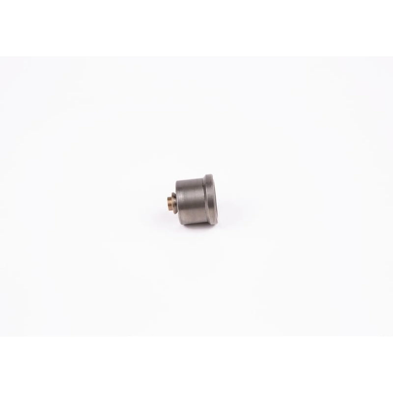 Bosch Engine Control Valve 2 418 554 063