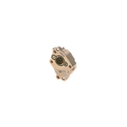 Bosch Fuel Pump Assembly 0 440 020 031