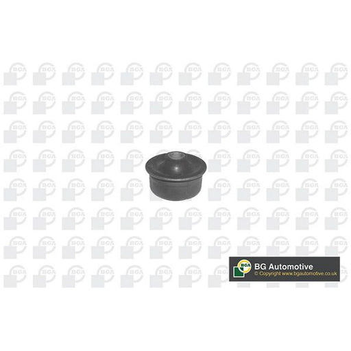 BGA Wishbone / Control / Trailing Arm Bush Lower Front BU2348
