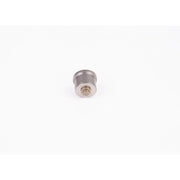 Bosch Engine Control Valve 2 418 554 059