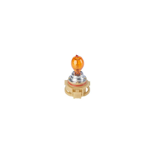 Bosch Indicator Turn Signal Bulb PG20/4 12V 2 1 987 302 267