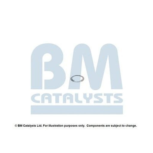 BM Catalysts Fitting Kit FK11166A FK11166A