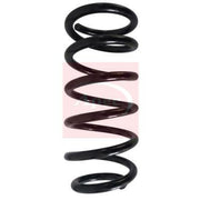 Apec Rear Suspension Coil Spring ACS1619