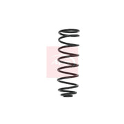 Apec Rear Suspension Coil Spring ACS1632