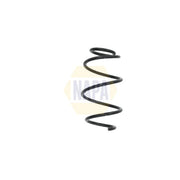 NAPA Front Suspension Coil Spring NCS1556
