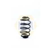 NAPA Rear Suspension Coil Spring NCS1172