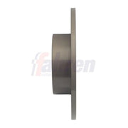Fahren 2 x Solid Rear Brake Discs FBD6165