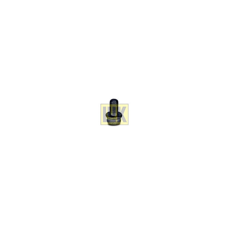 LuK Dmf Bolt Fitting Kit 411011310