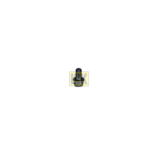 LuK Dmf Bolt Fitting Kit 411011310