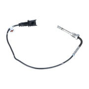 NRF Exhaust Gas Temperature Sensor before soot particulate f 707168