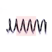 Apec Rear Suspension Coil Spring ACS2281