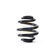 NAPA Rear Suspension Coil Spring NCS1841