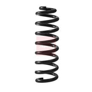Apec Rear Suspension Coil Spring ACS2420