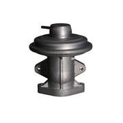 Valeo Exhaust Gas Recirculation Valve 703399