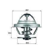 Mahle Thermostat,Coolant TX 56 71