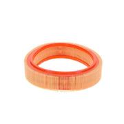 Bosch Engine Air Filter 1 457 429 923