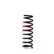 Apec Rear Suspension Coil Spring ACS1998