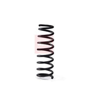 Apec Rear Suspension Coil Spring ACS1998