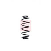 Apec 2 x Suspension Springs ACS1441