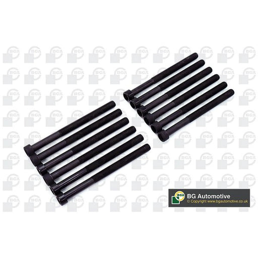BGA Cylinder Head Bolt Set M12 BK3345