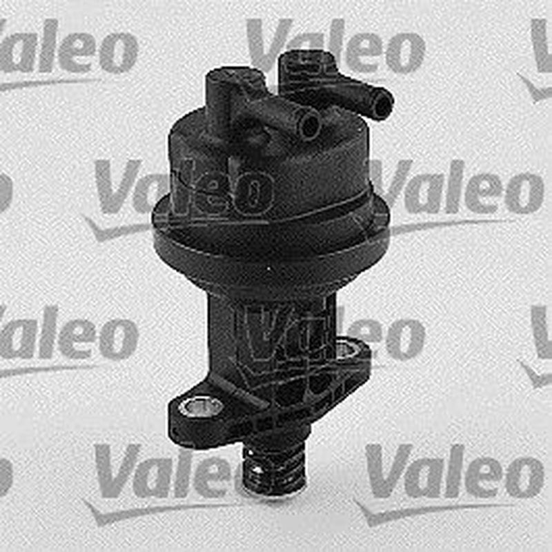 Valeo Fuel Pump Assembly 247115