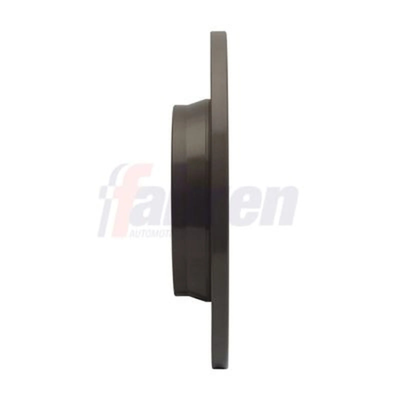 Fahren 2 x Solid Rear Brake Discs FBD6355