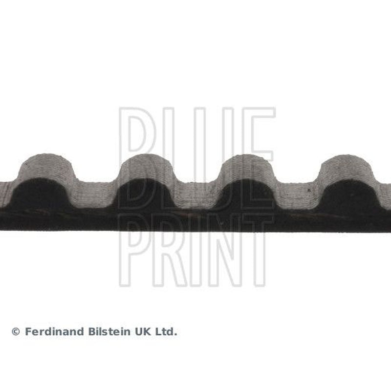 Blue Print Timing Belt Cambelt 123 Teeth ADC47511