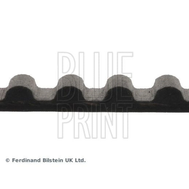 Blue Print Timing Belt Cambelt 123 Teeth ADC47511